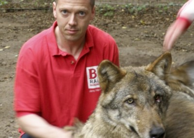 "Herrmännchen oder Herrmannkules?" im Zoo