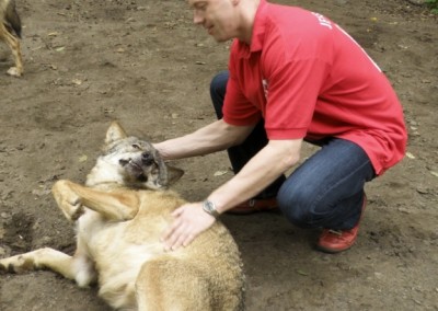 "Herrmännchen oder Herrmannkules?" im Zoo