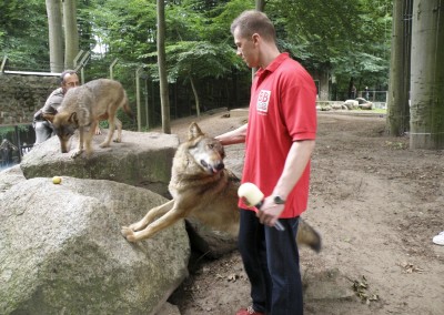 "Herrmännchen oder Herrmannkules?" im Zoo