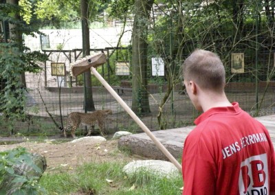 "Herrmännchen oder Herrmannkules?" im Zoo