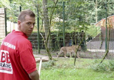 "Herrmännchen oder Herrmannkules?" im Zoo