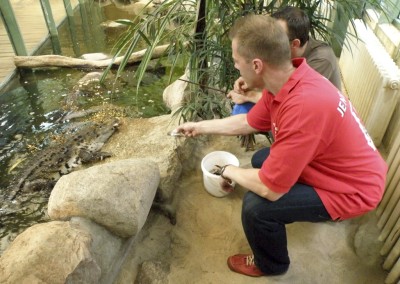 "Herrmännchen oder Herrmannkules?" im Zoo