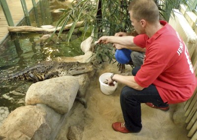 "Herrmännchen oder Herrmannkules?" im Zoo