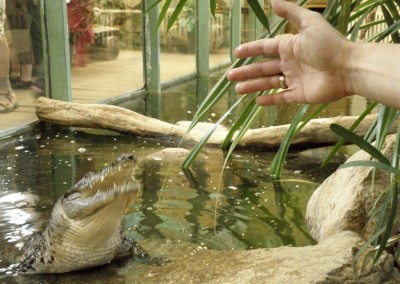 "Herrmännchen oder Herrmannkules?" im Zoo